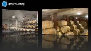 UMIDIFICAZIONE PER CANTINE VINICOLE NATURAL MISTING [upl. by Melania611]