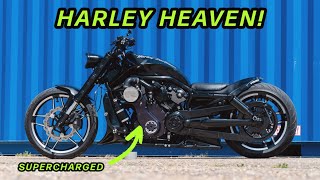 How Did We Make This Harley VRod So Fast [upl. by Harve]