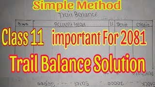 Trail Balance  Class 11  Account Trail Balance Solution  Very Simple Method 😱  Trail Balance [upl. by Leirbma54]