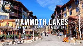 Buying a Mammoth Mountain Rental Property  Mammoth Lakes Airbnb [upl. by Eitnom]