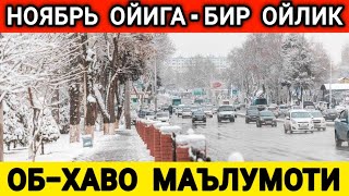 НОЯБРЬ ОЙИГА  БИР ОЙЛИК ОБХАВО МАЛУМОТИ ob havo [upl. by Marja]