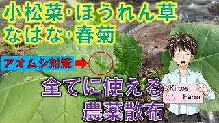 【葉物の栽培】色んな葉物に使える農薬散布。 [upl. by Hartman]