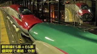 新幹線E5系・E6系『はやぶさ・スーパーこまち』 ～盛岡駅で連結・分割～ [upl. by Eentruoc]