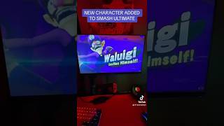 NEW CHARACTER IN SMASH BROS 🔥 [upl. by Wells300]