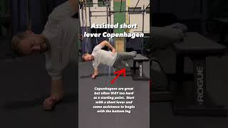 Copenhagen Planks  How To Progress and Regress  Physical Therapy  Adductor Strain Tendinopathy [upl. by Htepsle599]