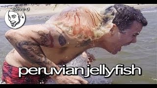 Peruvian Jellyfish Stunt  SteveO [upl. by Woodford]