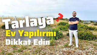 Tarlaya Ev Yapılırmı  Tarla İmarı Nedir Nasıl Tarla Almalıyım 2023 E153 [upl. by Kimber]