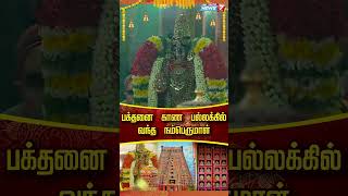 பக்தனை காண பல்லக்கில் வந்த நம்பெருமாள் [upl. by Dnomayd]