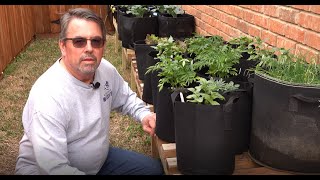 Using Grow Bags in my Vegetable Garden [upl. by Lorilyn]