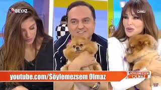 SEREN SERENGİLİN KÖPEĞİ quotGÜLBENquot İSMİNİ DUYUNCA DELİRİYOR [upl. by Erskine]