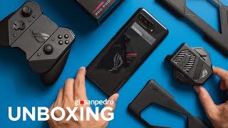 Asus ROG Phone 5 and a Nintendo Switchlike accessory  UNBOXING [upl. by Brittney]