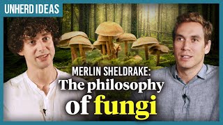 Merlin Sheldrake The philosophy of fungi [upl. by Irehc914]