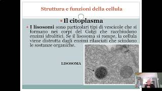 Struttura e funzioni della cellula il citoplasma [upl. by Aihsenat]