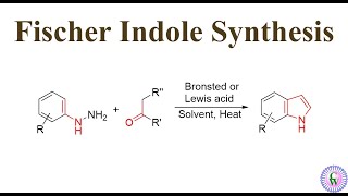 Fischer Indole Synthesis [upl. by Dilahk]