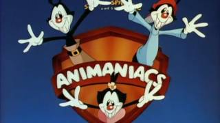 Animaniacs Español Latino [upl. by Esalb]