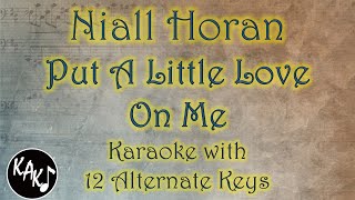 Put A Little Love On Me Karaoke  Niall Horan Instrumental Original Lower Higher Female Key [upl. by Adnowal]