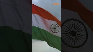 DD India wishes you a very happy 78th Independence Day [upl. by Enialedam]