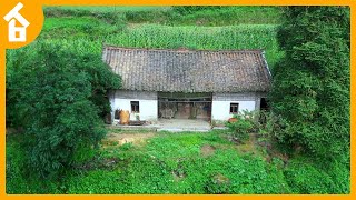 Shunned by Society Talented Man Turned a Wasteland into Cozy House in the Mountains  TIMELAPSE [upl. by Hahcim]