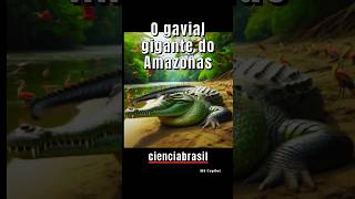 O gavial gigante da Amazônia [upl. by Doxia]