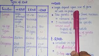 Detail Lecture On Nucleic Acid  MDCAT 2022  Conjugated Molecules [upl. by Burger]