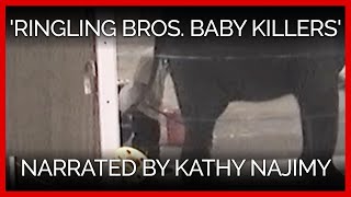 Ringling Bros Baby Killers Narrated by Kathy Najimy [upl. by Lynnette155]