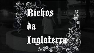 Bichos da Inglaterra [upl. by Anirahc]