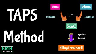 TAPS Method  TetAssisted Pyridine Borane Sequencing  Bisulphite Sequencing [upl. by Karr784]