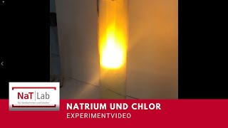 Natrium reagiert mit Chlor – Experiment für den Unterricht Chemie [upl. by Mccall]