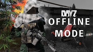 How to get DayZ offline mode [upl. by Lerad166]