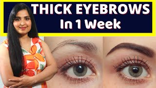 GROW THICK EYEBROWS IN 1 WEEK  My Secret Ingredient  Thick Eyebrows Naturally  Eyebrows [upl. by Atik605]