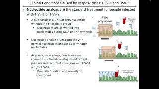 Virology Chapter 13 Part 1 [upl. by Arrimat]