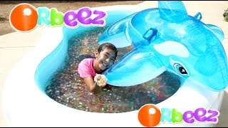 Orbeez Pool and Dolphin Summer Water Fun Play B2cutecupcakes [upl. by Yuh750]