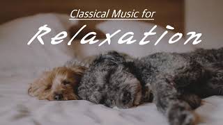 NO ADS 2 HOURS Classical Music for Relaxation  Beethoven Mozart Bach Tchaikovsky Vivaldi… [upl. by Anh470]