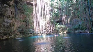 Playa del carmen Most popular Cenotes [upl. by Panther417]