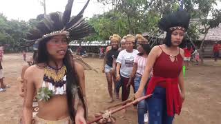 Dança Cultural Indígena Tikuna  Vila Betânia  AMAZONAS [upl. by Sugirdor]