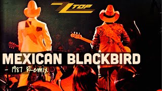 ZZ Top  Mexican Blackbird 1987 Six Pack Remix [upl. by Dyer]