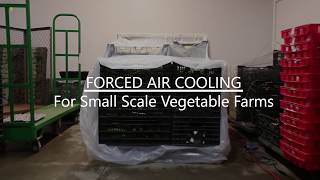 Small Scale Forced Air Cooling Demo [upl. by Essam]