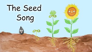 The Seed Song  What Do Seeds Need [upl. by Ppilihp]