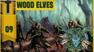 Warsword Conquest Wood Elves Part 9 [upl. by Mills]