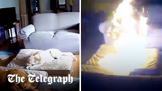 Dog causes house fire after chewing on a battery in Oklahoma [upl. by Nevart]