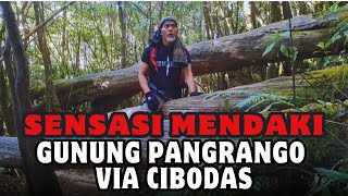 SENSASI Pendakian gunung pangrango via cibodas [upl. by Lisabet]