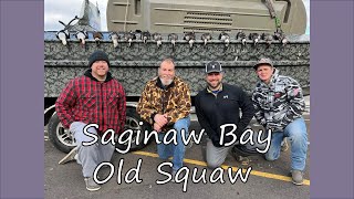 Saginaw Bay Old Squaw [upl. by Natsirk648]