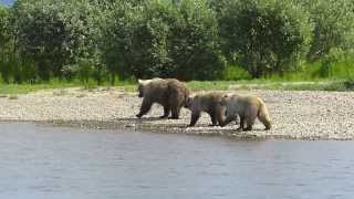 Float Trip Moraine Creek Alaska 2013 [upl. by Geminius]