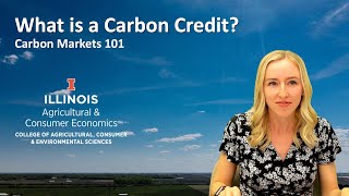 What is a Carbon Credit [upl. by Ettesoj]