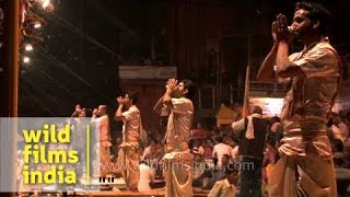 Group of Hindu priests blowing Turbinella pyrum conch during Ganga Aarti puja Varanasi [upl. by Suiratnauq]