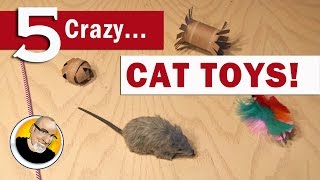 5 Crazy Cat Toys You Can Make [upl. by Katz]