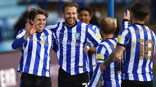 Sheffield Wednesday v Cardiff City highlights [upl. by Ymmas]