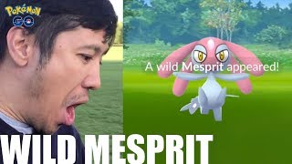 WILD MESPRIT  POKÉMON GO [upl. by Ttessil]