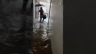 School flooded in Yauco Puerto Rico puertorico yauco ricanreactions rican [upl. by Herates739]