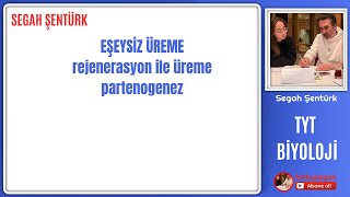 Eşeysiz Üreme rejenerasyon ile üremepartenogenez  TYT BİYOLOJİ  10SINIF  YKS 2025 [upl. by Accebor270]